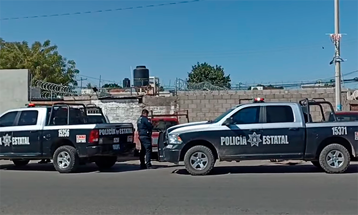 Perro “entamalado” provoca movilización policiaca en la colonia Mirasoles