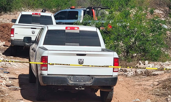 Hallan tres ejecutados en predio enmontado en Ciudad Obregón