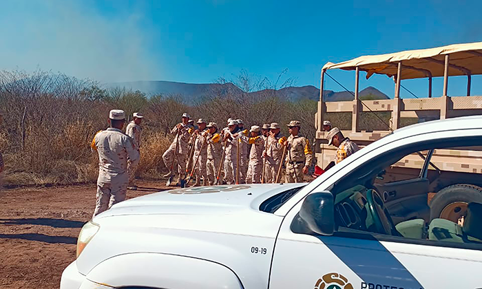 Avanza combate a incendio forestal en la zona de Rosario, Quiriego y Cajeme