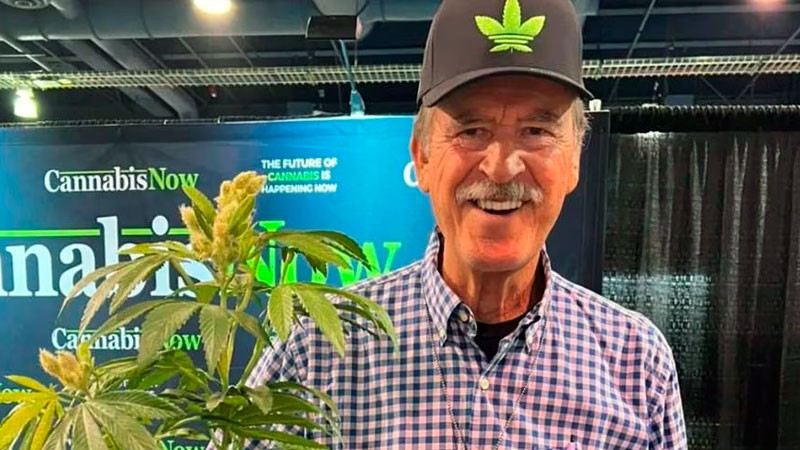 Peña Nieto dio permisos de cannabis a familia de Vicente Fox, revela AMLO