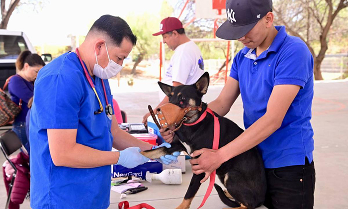 Atienden a 80 mascotas en la colonia Café Combate de Hermosillo