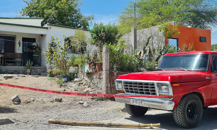 Ataque de abejas deja un herido en la colonia Café Combate