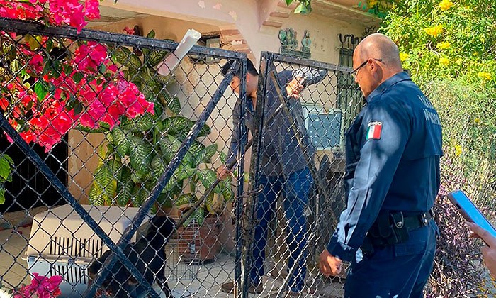 Rescatan a perro víctima de maltrato.