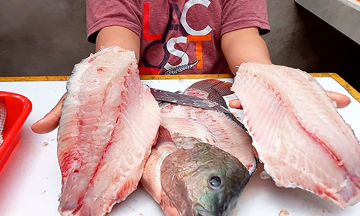 Mujeres que no son pescadoras no deben recibir apoyo Bienpesca