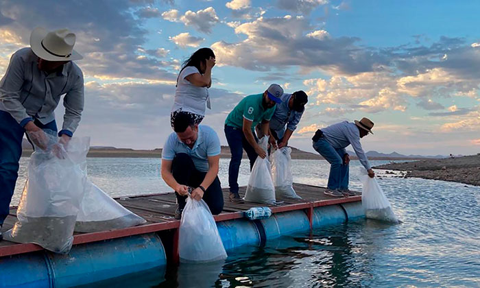 Impulsa pesca en embalses Gobierno de Sonora