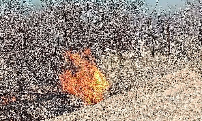 Culmina con éxito operativo de Semana Santa; Bomberos de Empalme