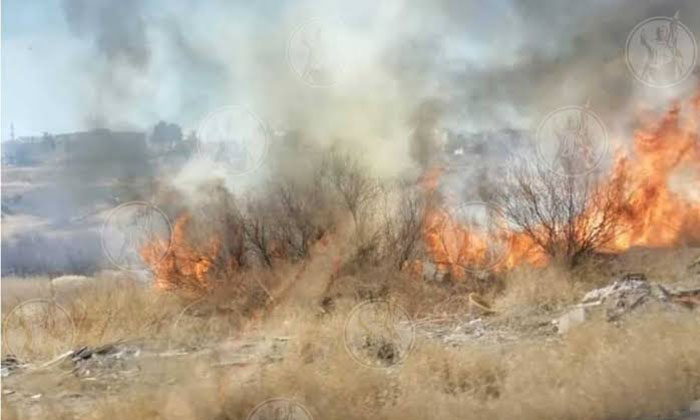 Sofocan incendio de maleza en San Vicente