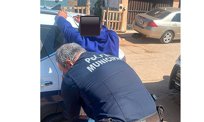 Aprehenden a ladrón de cerdos en la colonia Villas del Cerro Colorado