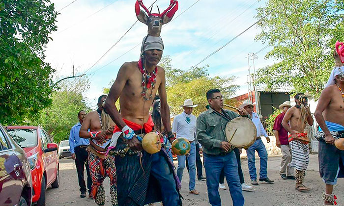 Enaltecen a pueblos originarios en las Fiestas del Pitic