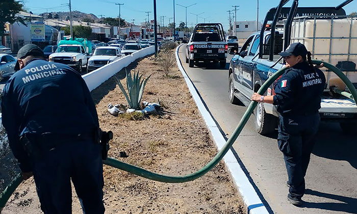 Adopta Policía Municipal camellón; Colocaron plantas y pasto