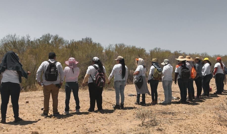 Sumarán esfuerzos con colectivos de búsqueda