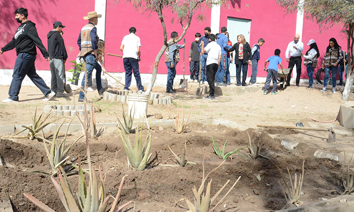 Promueve Sagarhpa creación de huertos urbanos