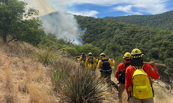 Combaten incendio forestal en el cerro El Gavilán