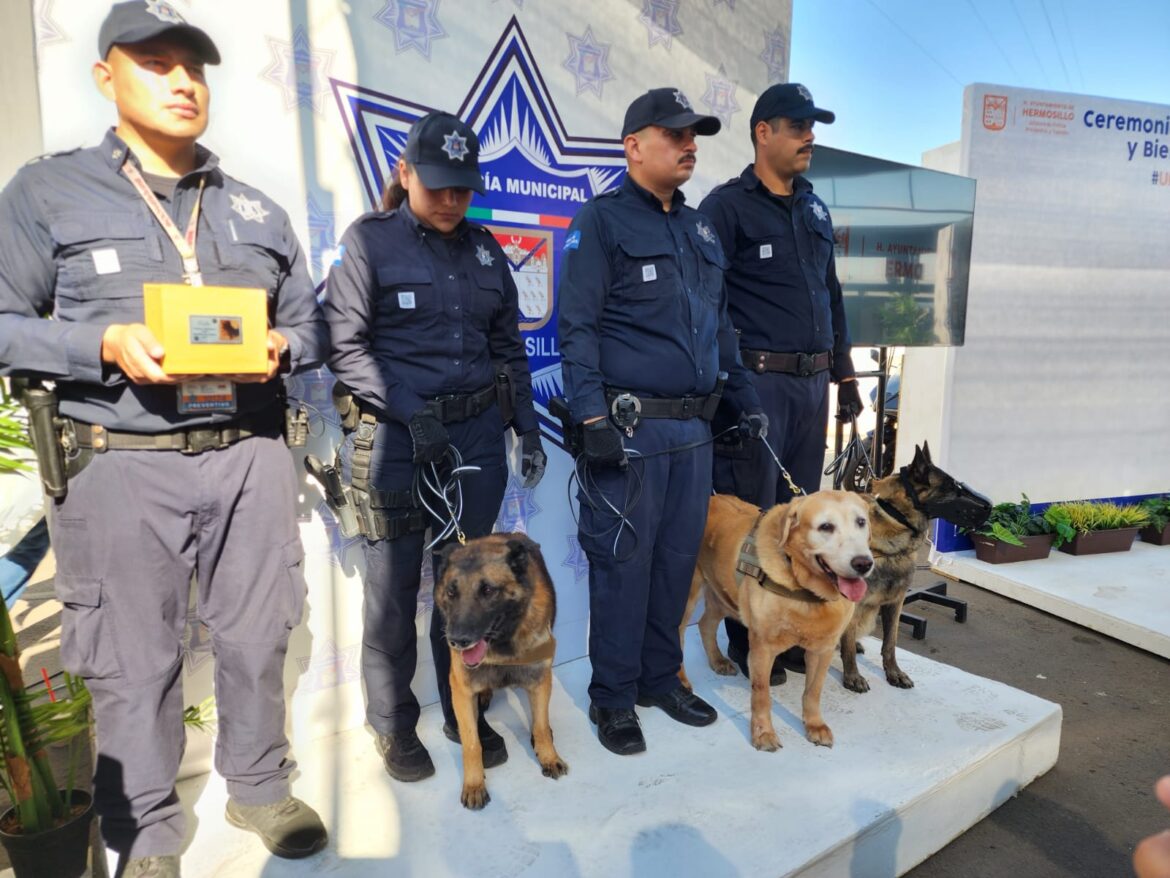 Jubilan a agentes K-9 y dan la bienvenida a nuevos binomios caninos a la Policía Municipal