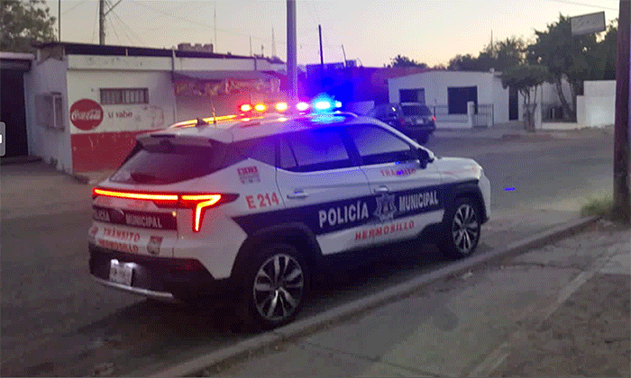 Detienen a hombre en automóvil robado en el fraccionamiento Villa Verde