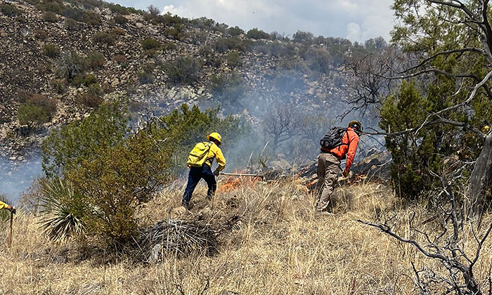 Se rompe récord de incendios forestales en Sonora