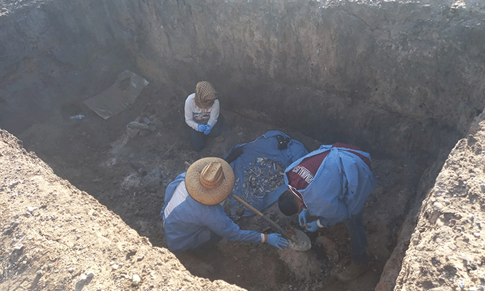 Localizan restos humanos en carbonera de Sáric