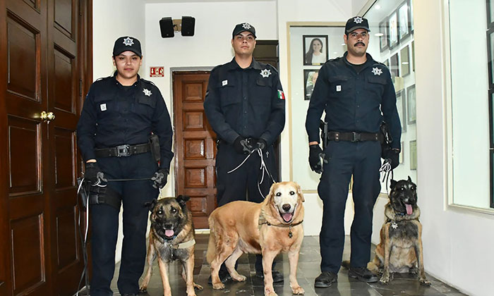 Tendrán agentes caninos retirados un hogar