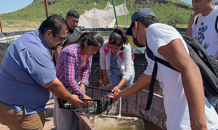 Universitarios repoblarán embalses con crías de tilapia