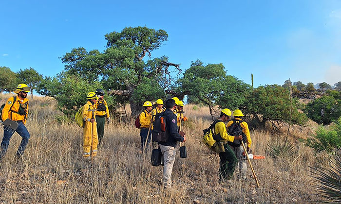 Afectan incendios 40 mil hectáreas;En Sonora se han registrado 78 siniestros