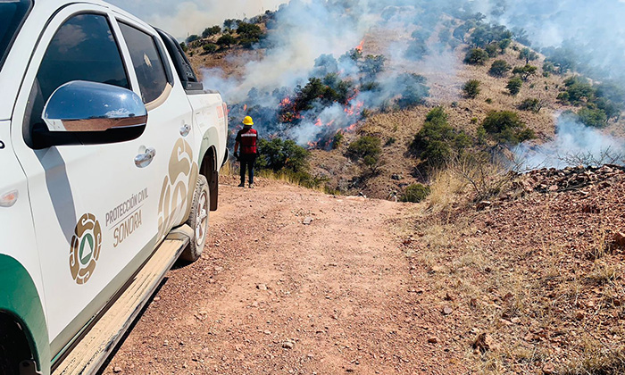 Liquidado incendio forestal en Moctezuma: UEPC