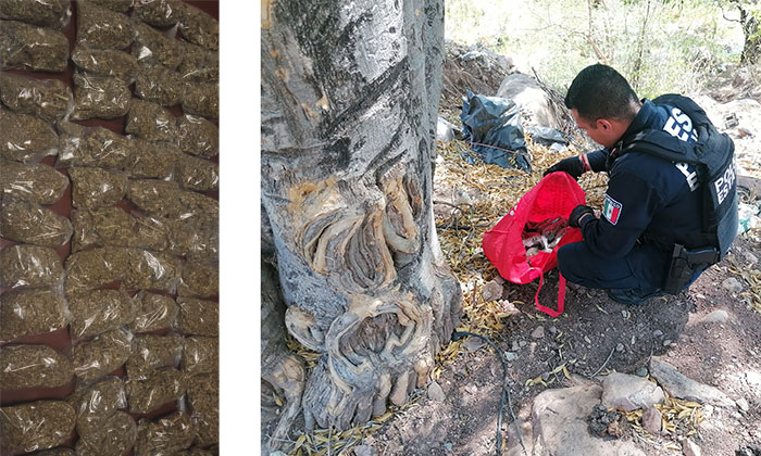 Abandonan maleta con mariguana en Tepoca