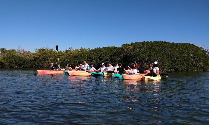 Promueve Cedes ecoturismo y cultura ambiental en estero El Soldado