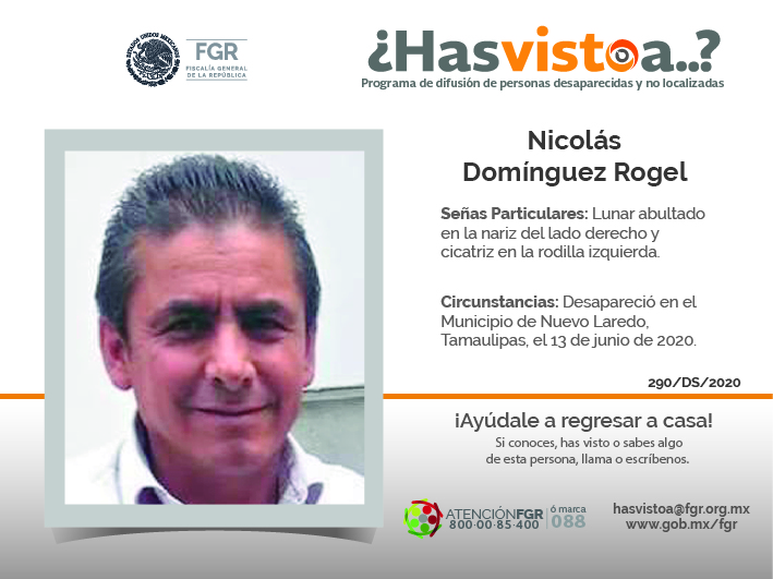 ¿Has visto a: Nicolás Dominguez Rogel?