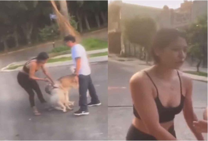 Mujer permite que su perro mate a otro y agrede a vecinos que grabaron el hecho en Tonalá