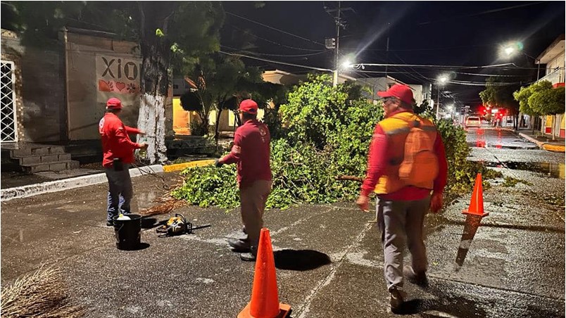 Una tormenta ha derribado árboles y dejó sin luz a los habitantes de Guasave