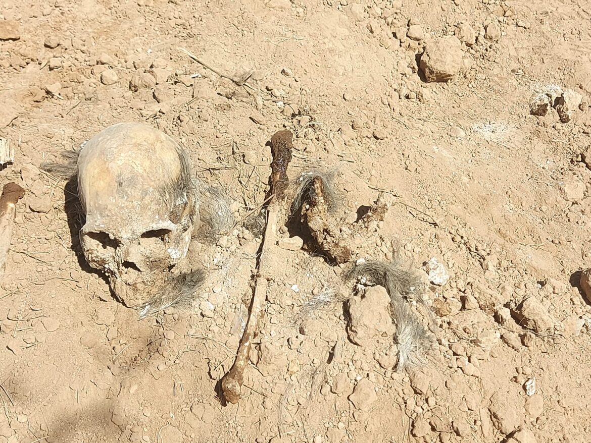 Localizan restos de al menos dos personas, enterrados clandestinamente.