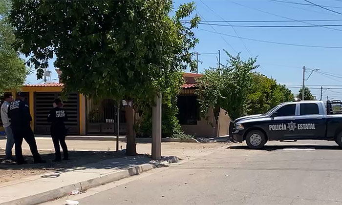 Perro muerto causa movilización policiaca en la colonia Sahuaro