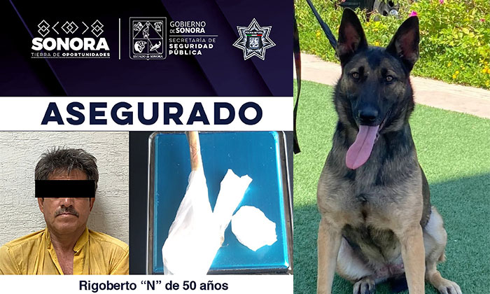 Detecta elemento canino a sujeto con ‘crystal’ en la colonia Adolfo de la Huerta