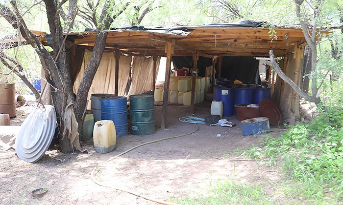 Aseguran tres laboratorios de drogas; Dan fuerte golpe al narcotráfico