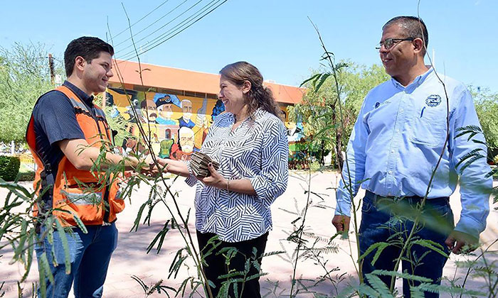 Se suma el ITH al programa Sembrando Juntos; Reforestarán el campus