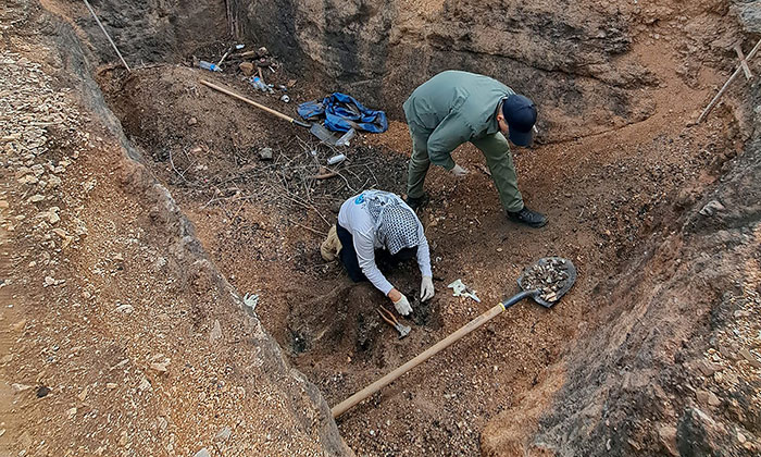 Encuentran Buscadoras restos calcinados en Tubutama