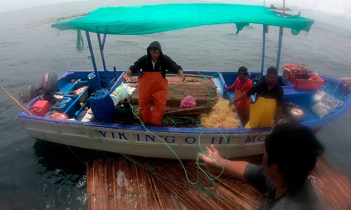 Apoyan a pescadores con más de 5 mdp en Sonora