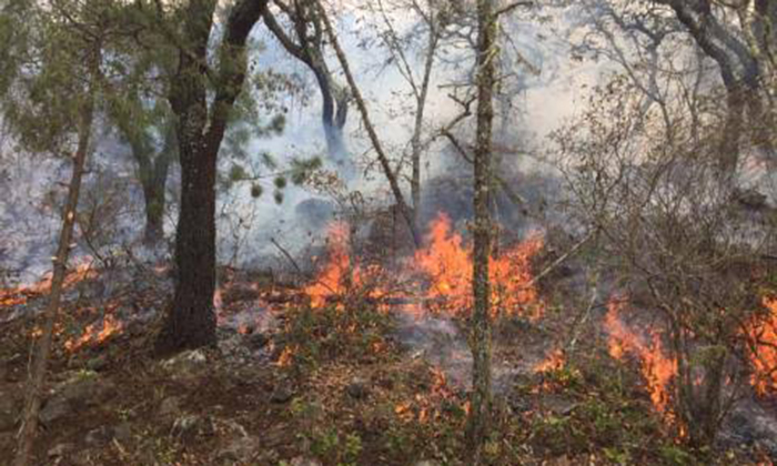 Se incendia predio en la colonia Centro