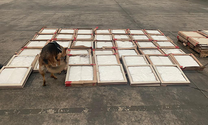 Asegura Guardia Nacional 174 kilos de crystal en empresa de paquetería