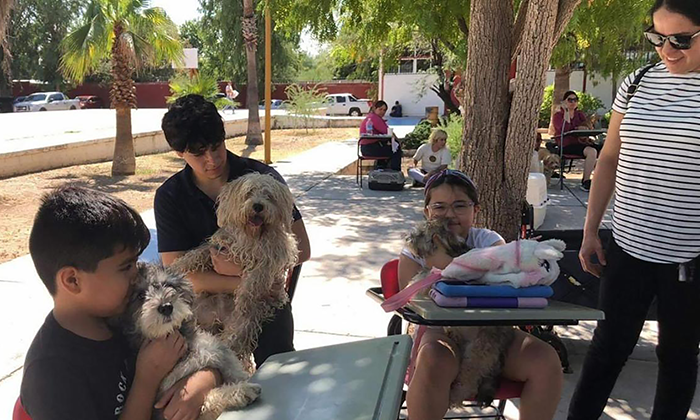 Esterilizan autoridades estatales a 197 mascotas