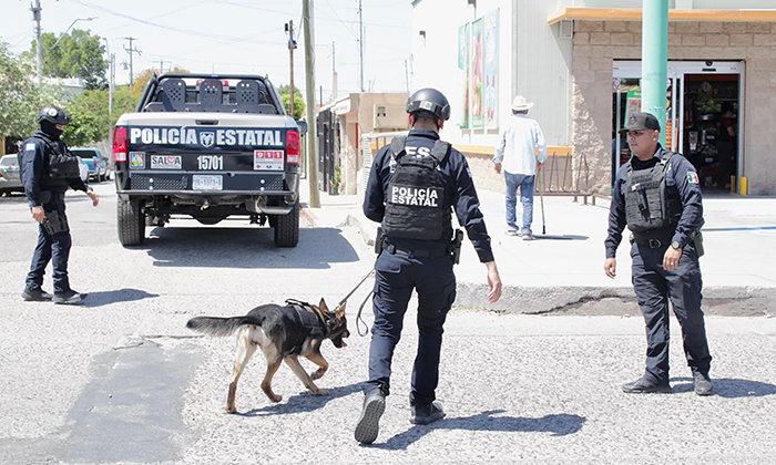 Arrestan a 251 presuntos delincuentes; Elementos de la PESP