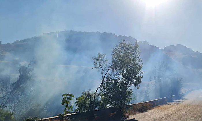 Sofocan gran incendio de maleza en las inmediaciones del Parque La Sauceda