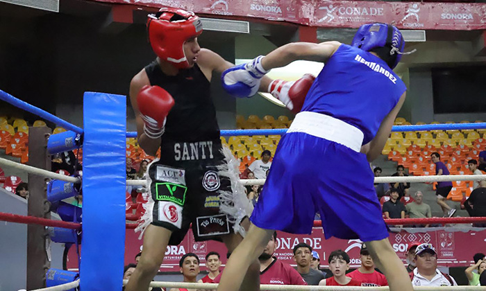 Destaca boxeo amateur en el Sonora Boxing Tour