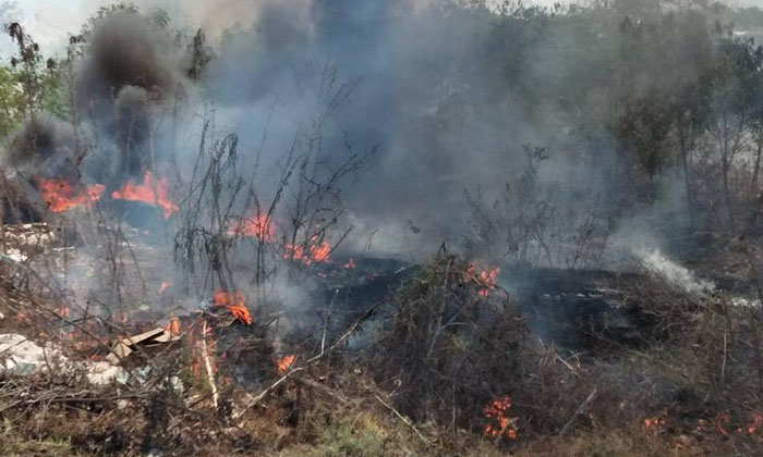 Sofocan incendio de maleza en la colonia Yucatán