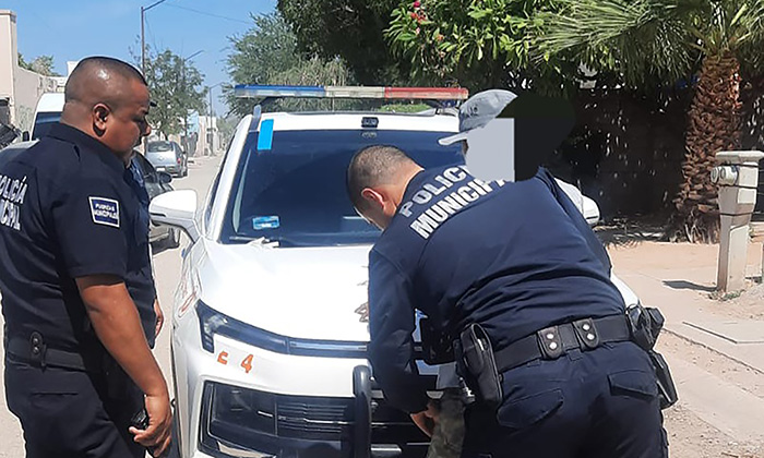 Ponen tras las rejas a violento sujeto en la colonia San Bosco