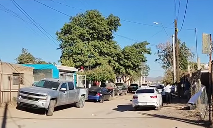 Muere anciano al caer de un árbol en la colonia Luis Donaldo Colosio