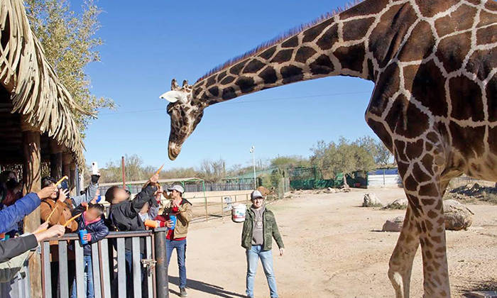Se jubila la jirafa “Pancho” del Centro Ecológico