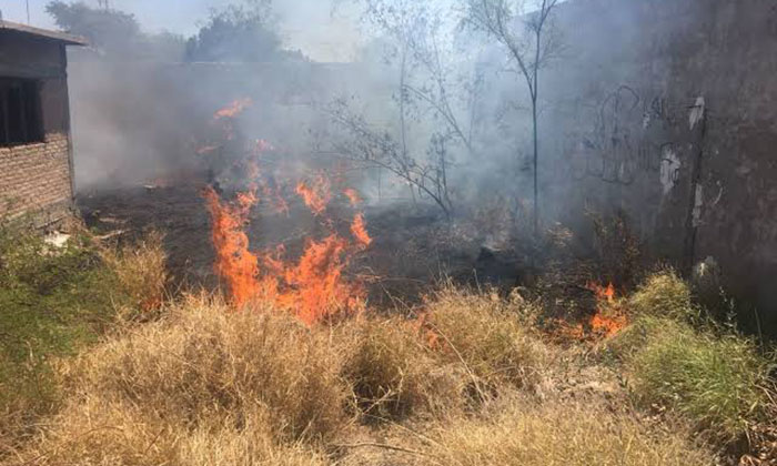 Sofocan Bomberos incendio de maleza en la colonia Independencia