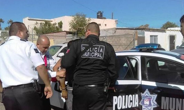 Sorprenden Policías a  “machetero” en la colonia Mallorca
