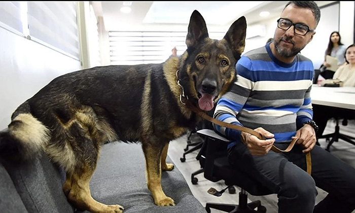 Con Toño Astiazarán construirán clínica veterinaria pública